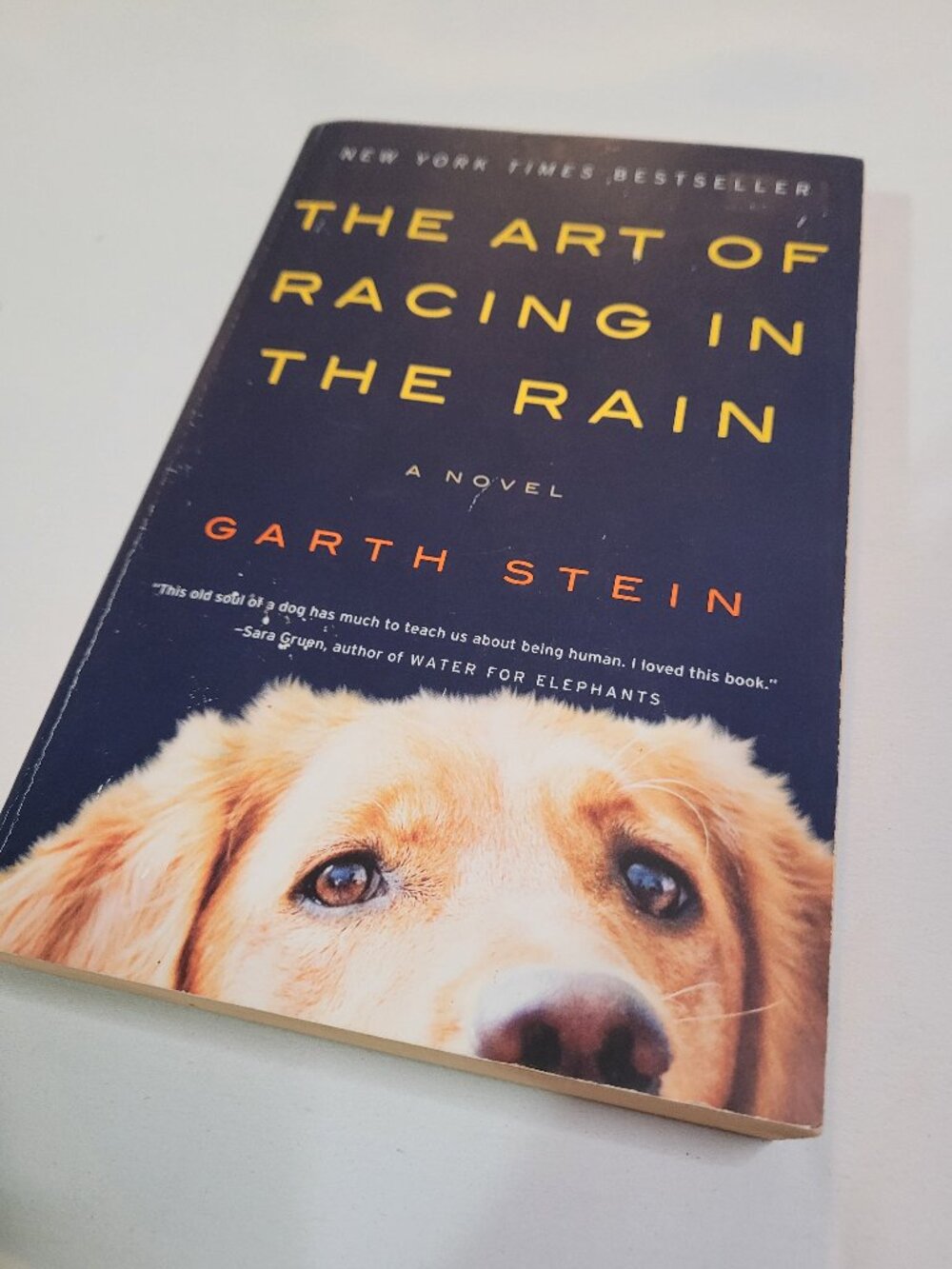 The Art of Racing in the Rain Garth Stein Paperback Novel Book Bookcore